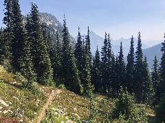 Maple Heather Trail, WA